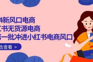 2024新风口电商，小红书无货源电商，带第一批冲进小红书电商风口（32节）