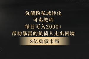 负债粉私域转化，可卖教程，每日可入2000+，无需经验