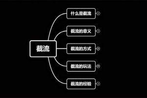 蚊子团队实战引流：长期有效的截流技术＋百度被动引流过万系统2.0