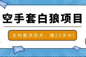 2020最新空手套白狼项目，全网批量截流技术，一个月实战成功赚20多W+