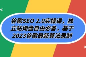 谷歌SEO 2.0实操课,独立站询盘自由必备,基于2023谷歌最新算法录制(94节)