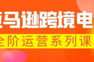 亚马逊跨境-电商全阶运营系列课程 每天10分钟，让你快速成为亚马逊运营高手