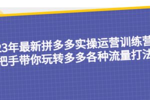 23年最新拼多多实操运营训练营：手把手带你玩转多多各种流量打法