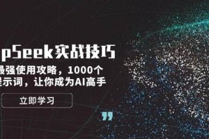DeepSeek实战技巧：集合最强使用攻略，1000个神级提示词，让你成为AI高手