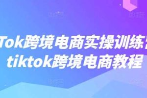 TikTok跨境电商实操训练营，tiktok跨境电商教程