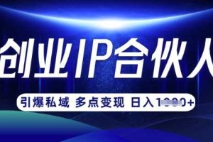 云帆·创业ip合伙人打造3.0，从0到1教你做网创，实现月入过W