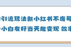 男粉引流玩法(新)，玩法友好做的好当天就能变现