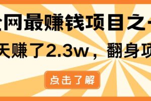 全网首发，暴利项目，每天被动收益1500+，长期管道收益！0成本自己做老板！