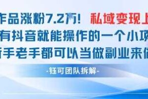 抖音私域项目23条作品涨粉7.2W，私域变现1W
