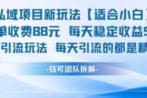 私域项目新玩法【适合小白】 一单收费88.每天稳定收益几张