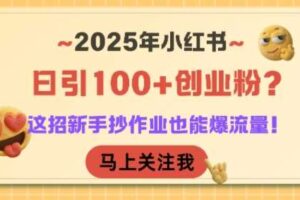 2025年小红书日引100+创业粉？这招新手抄作业也能爆流量！