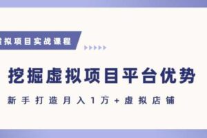 抓住虚拟项目各平台优势，新手轻松月入1W+(给出具体建议)