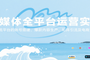 自媒体全平台运营实战，主流平台的账号搭建、爆款内容生产、矩阵引流及电商变现