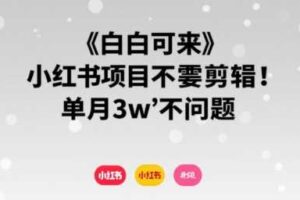 小白可来 小红书项目不需要剪辑 单月3w不是问题
