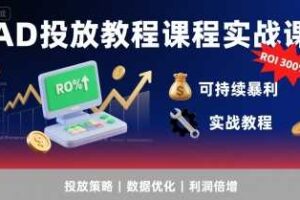 AD投放教程课程实战课，实现广告ROI300%+可持续暴利