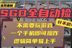 CSGO自动捡漏项目，最新独家玩法，一个手机即可操作。新手小白轻松月入1W+