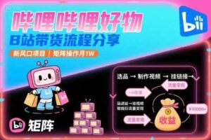 哔哩哔哩好物，B站带货流程分享，新风口项目，矩阵操作月1W