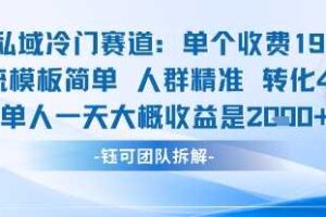 私域冷门赛道单个收费198米引流模板简单人群精准 45%的转化率单人一天大概收益多张