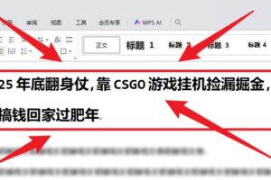 (16533期)25年底翻身仗,靠CSGO游戏挂机捡漏掘金,搞钱回家过肥年