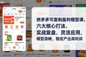 (16952期)拼多多可复制盈利模型课,六大核心打法、实战复盘、灵活应用,模型清晰,稳定产出高利润