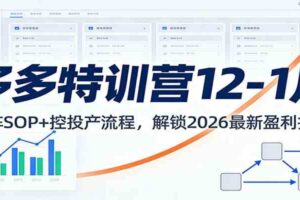 多多特训营12-1月：矩阵SOP+ 控投产流程，解锁2026最新盈利打法