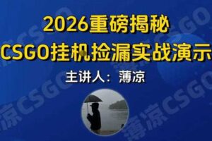CSGO游戏挂G游戏搬砖最新升级，普通小白一部手机可日入3张+当天见结果，支持验证【揭秘】