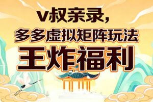 v叔亲录，多多虚拟矩阵玩法，王炸福利限时领取